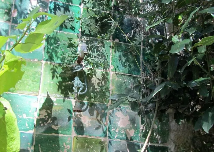 Bed and Breakfast La Boca 3*